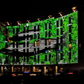 lunar lights 2024.012 dt