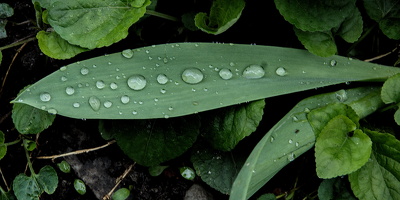 water drops.2025.01 dt