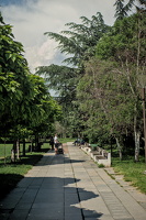NDK garden 2025.01 dt
