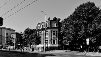 levsky 2025.01 dt bw