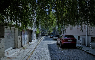 willow 2025.03 dt d810