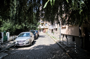 willow 2025.04 dt d810