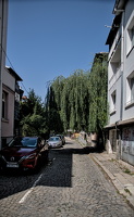 willow 2025.05 dt d810