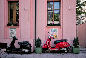 café 44, neofit rilski 2025.01 dt d810