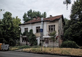zlatowruh 2025.02 dt d810