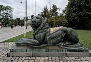 lion 2025.02 dt