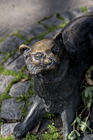 radoj ralin 2025.03 dt