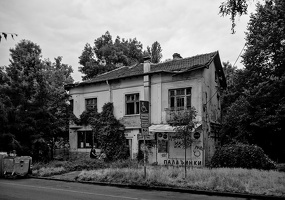 zlatowruh 2025.02 dt bw d810