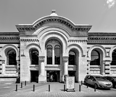 halite 2025.03 dt bw