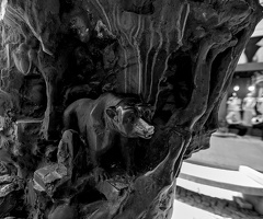 sculpture fragment 2025.01 dt bw (1)