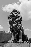 lion's bridge southwest 2025.03 dt bw (1)