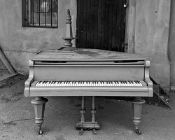 blue royal 2025.01 dt bw