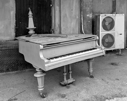 blue royal 2025.02 dt bw