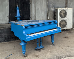 blue royal 2025.02 dt