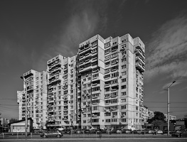 razsadnika 2025.01 dt bw