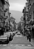 shishman 2025.07 dt bw d810 