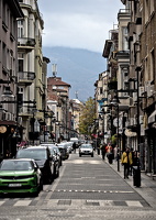 shishman 2025.07 dt d810 