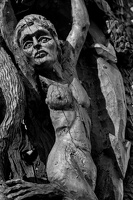 woodwork.2025.07 dt bw