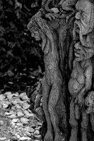 woodwork.2025.12 dt bw